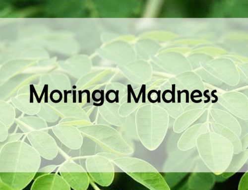 Moringa Madness